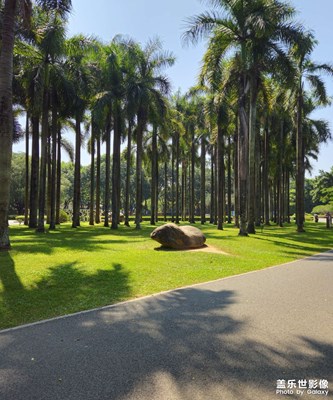 【隨拍分享】秋韻?樹木叢生百草豐茂