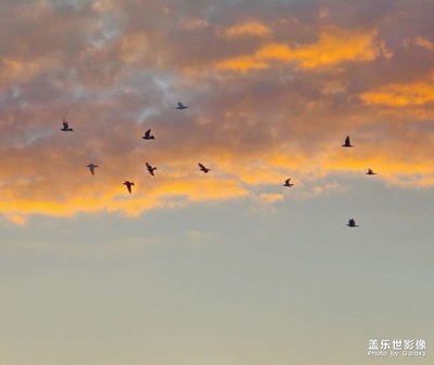 【金秋時節(jié)】+美麗的晚霞