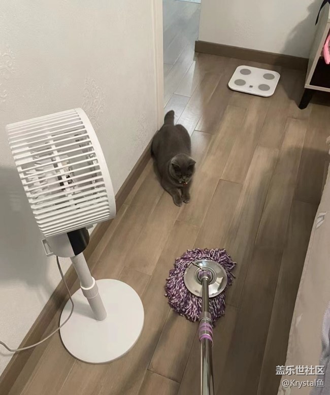 【萌萌的寵物】新成員