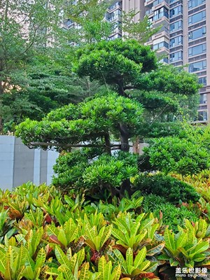 【金秋時節(jié)】記錄色彩斑斕的金秋