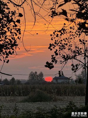 【金秋時(shí)節(jié)】落日余暉