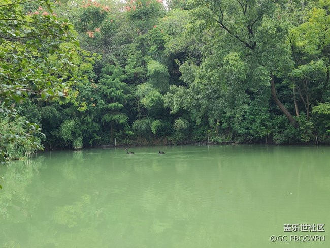 【五顏六色的秋天】秋天的顏色