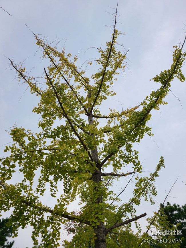 【五顏六色的秋天】秋天的顏色