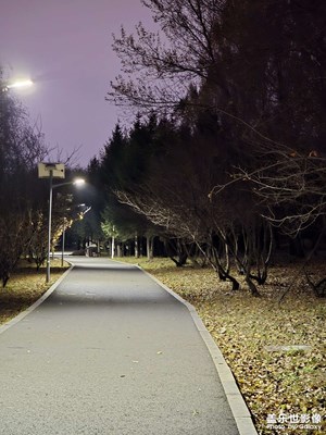 【金秋時(shí)節(jié)】+ 秋風(fēng)落葉