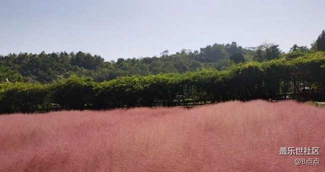 【最美秋色醉人心】藍(lán)天白云