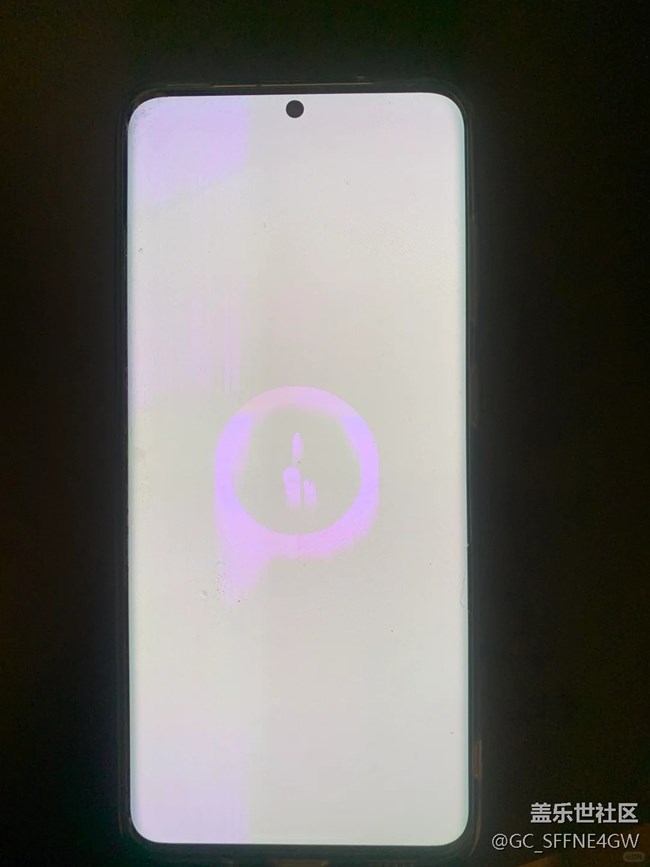 三星s20突然白屏+綠線