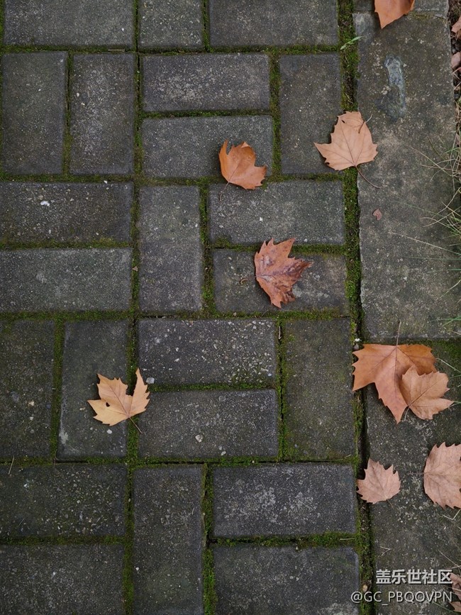 【五顏六色的秋天】秋天的顏色