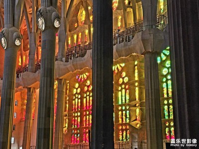 沉浸式感受圣家堂的美