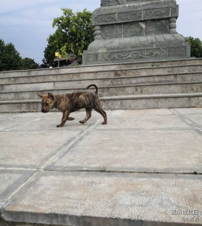 【萌萌的寵物】小狗子