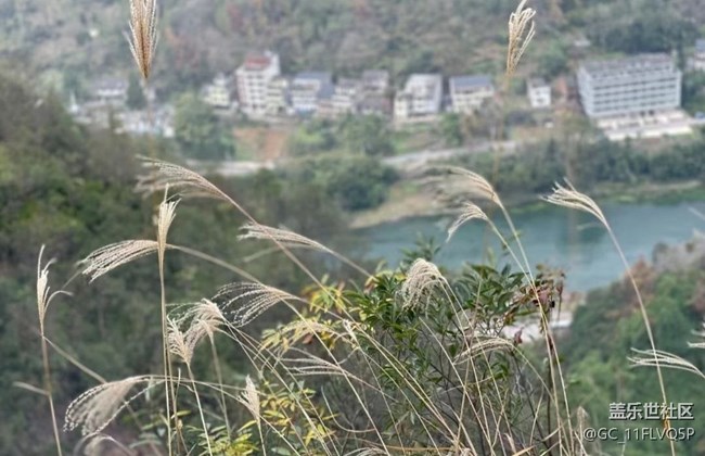 【最美秋色醉人心】美景