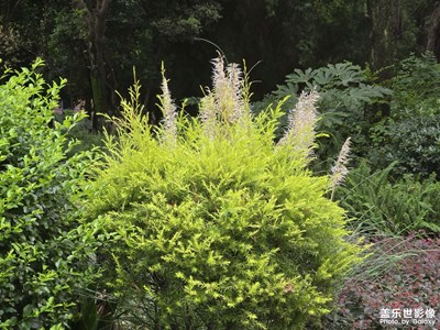 【金秋時(shí)節(jié)】+金秋送爽