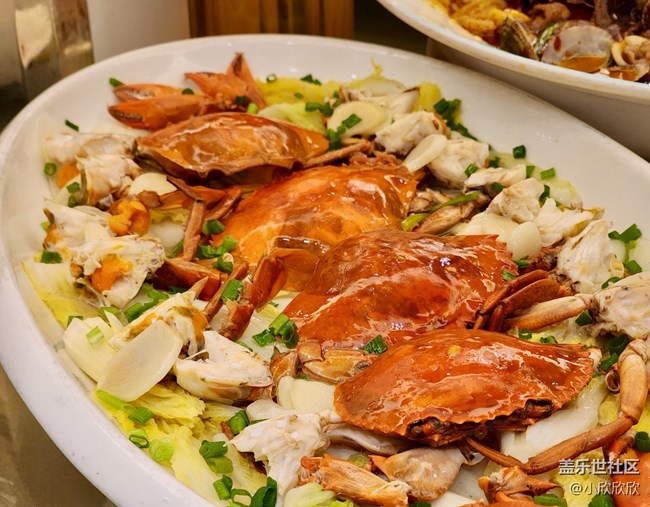 【夏日滋味】廈門夏日吃海鮮~