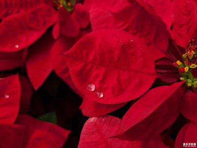 【金秋時節(jié)】+秋天色彩