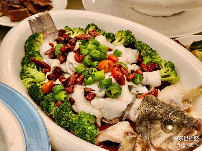 【夏日滋味】廈門夏日吃海鮮~