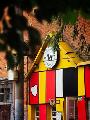 【金秋時(shí)節(jié)】+citywalk