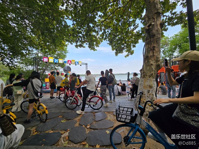 【東湖印象】歸屬感