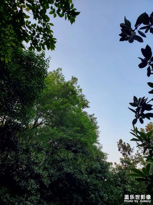 【金秋時(shí)節(jié)】秋高氣爽