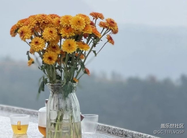 【最美秋色醉人心】美景