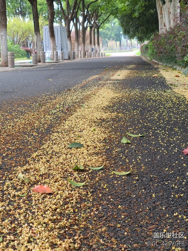 【五顏六色的秋天】滿(mǎn)園秋色