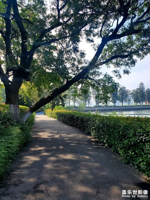 【靜美時分】+湖邊小路