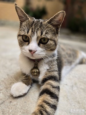 【靜美時(shí)分】+隨拍幾張