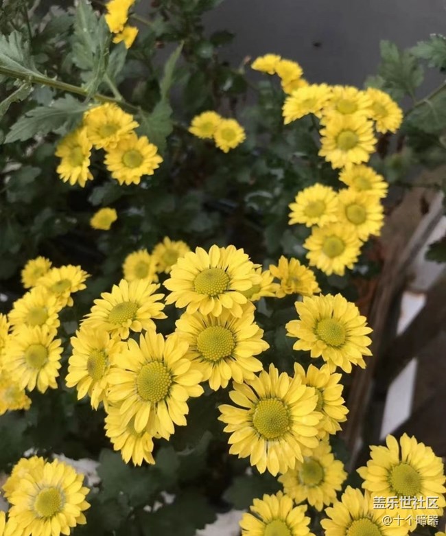 【與國同慶】大自然