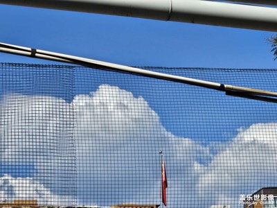 【金秋時(shí)節(jié)】+午后隨拍