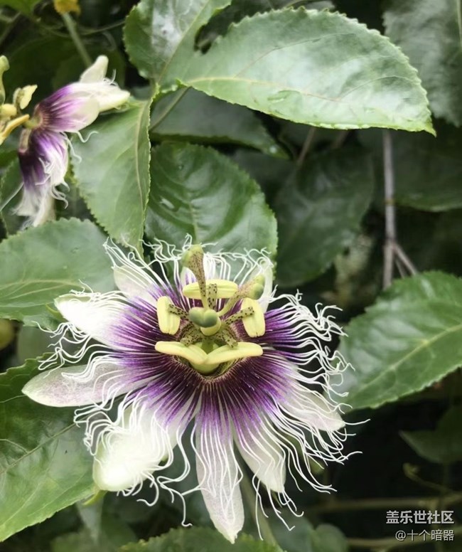 【與國同慶】大自然