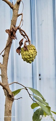 無人扶它青云志