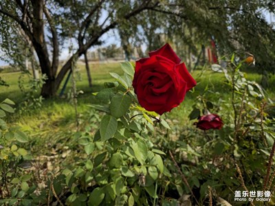 【靜美時分】+秋景好美