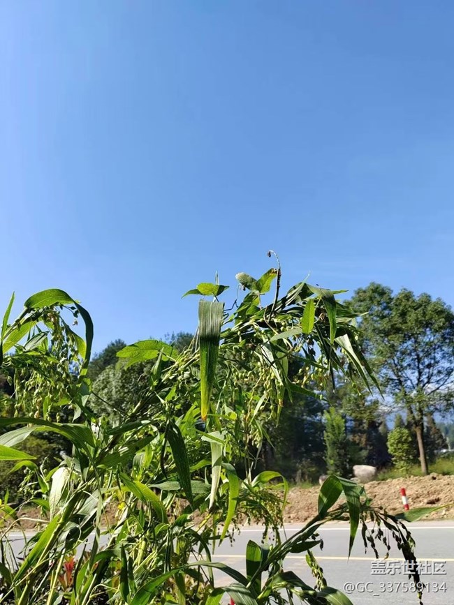 【Galaxy影像】自然的律動(dòng)+ 秋意濃