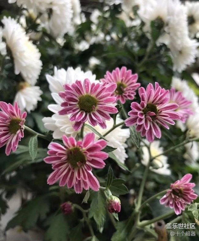 【與國同慶】大自然