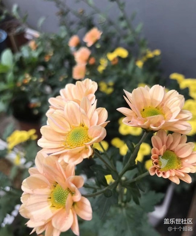 【與國同慶】大自然