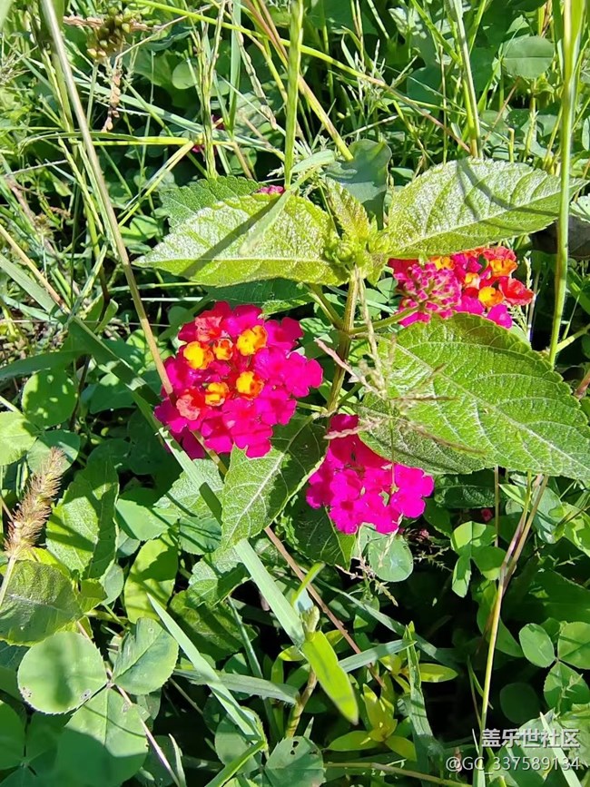 【Galaxy影像】自然的律動(dòng)+ 秋意濃