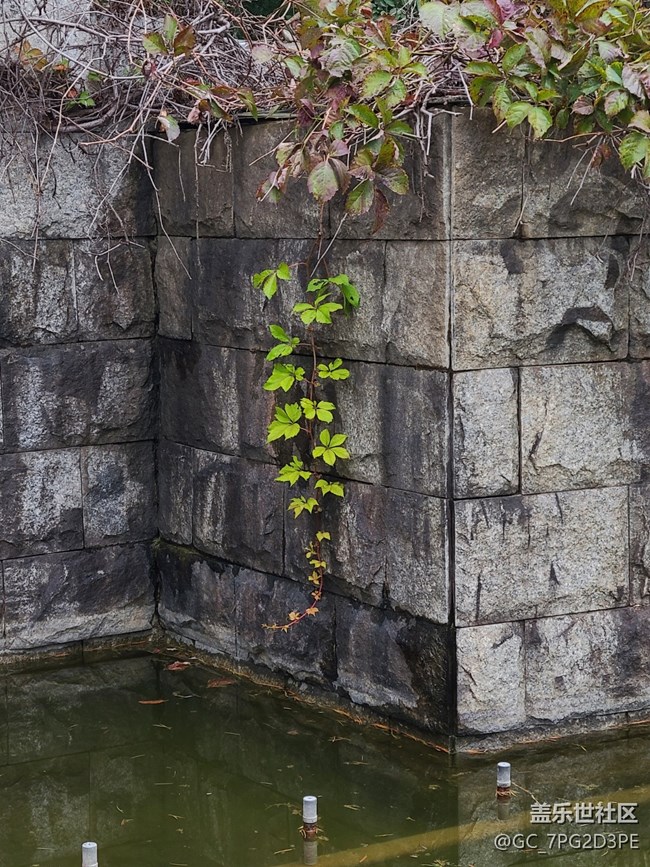 【五顏六色的秋天】秋日斑斕