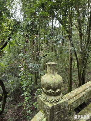 【靜美時分】秋