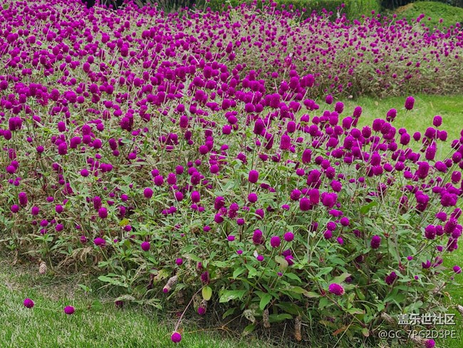 【五顏六色的秋天】秋日斑斕