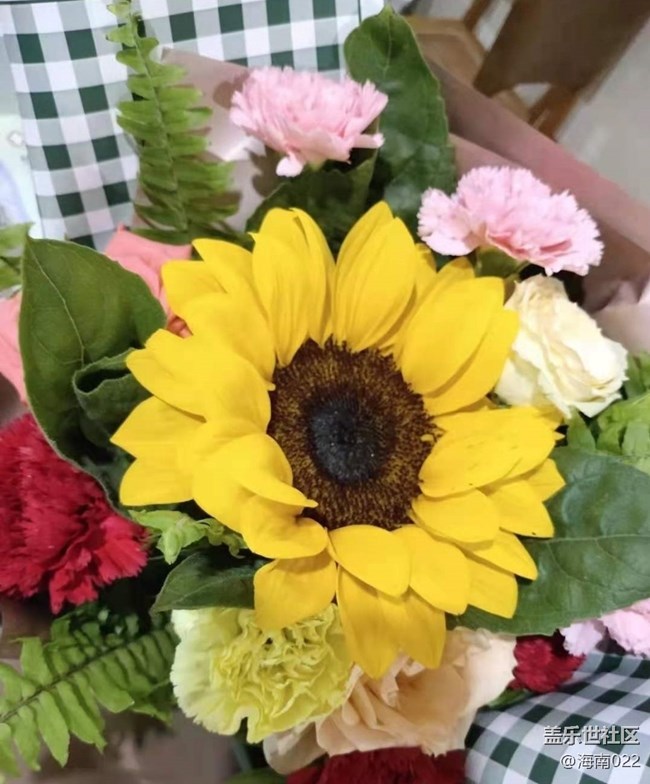 【留存的照片】520表白日