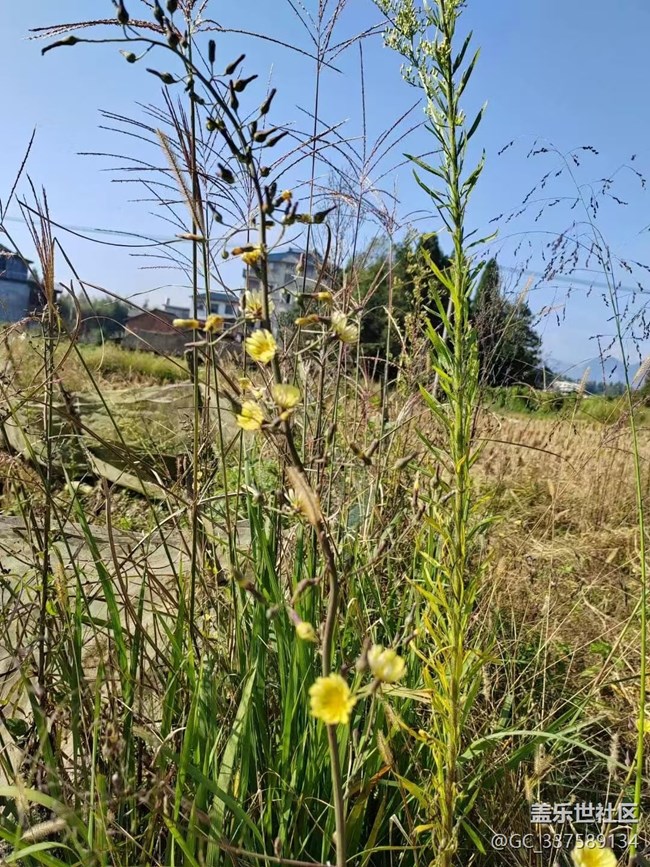 【Galaxy影像】自然的律動(dòng)+ 秋意濃