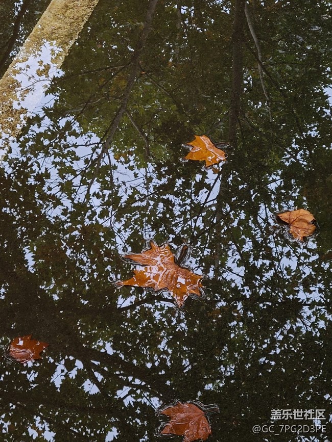 【五顏六色的秋天】秋日斑斕