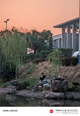 【靜美時分】兌現(xiàn)