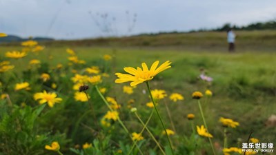 【靜美時(shí)分】+風(fēng)景
