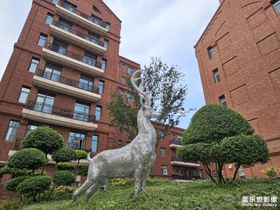 【靜美時(shí)分】隨拍印象