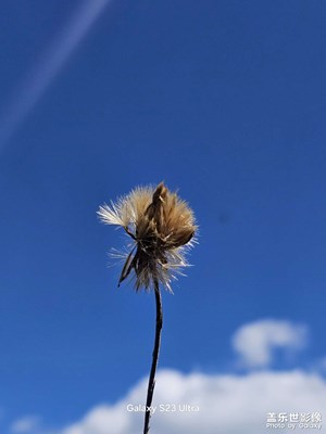 【靜美時(shí)分】歸野