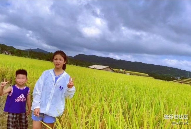 【與國同慶】稻香