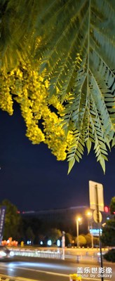 【靜美時(shí)分】+夜晚隨拍