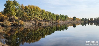一念秋風(fēng)起，一念相思長。
