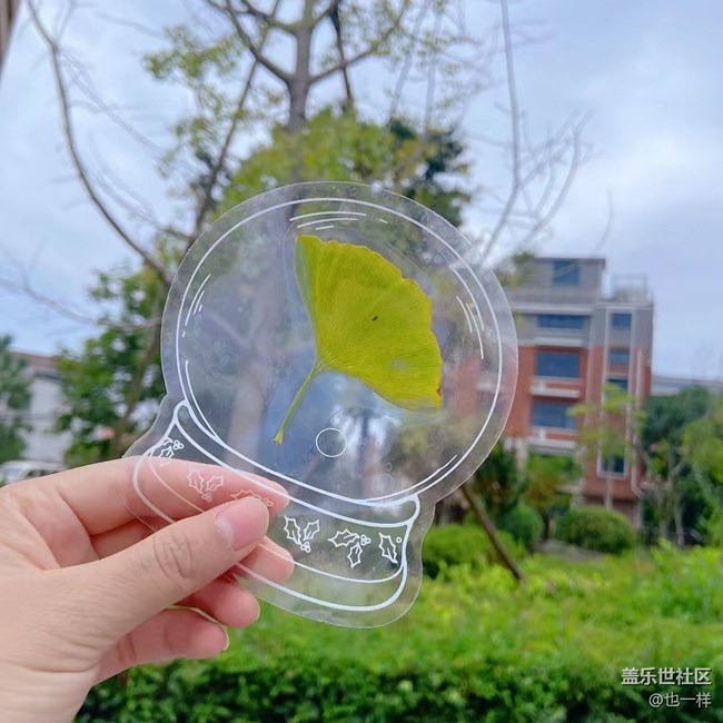 【Galaxy影像】自然的律動+ 秋天的顏色