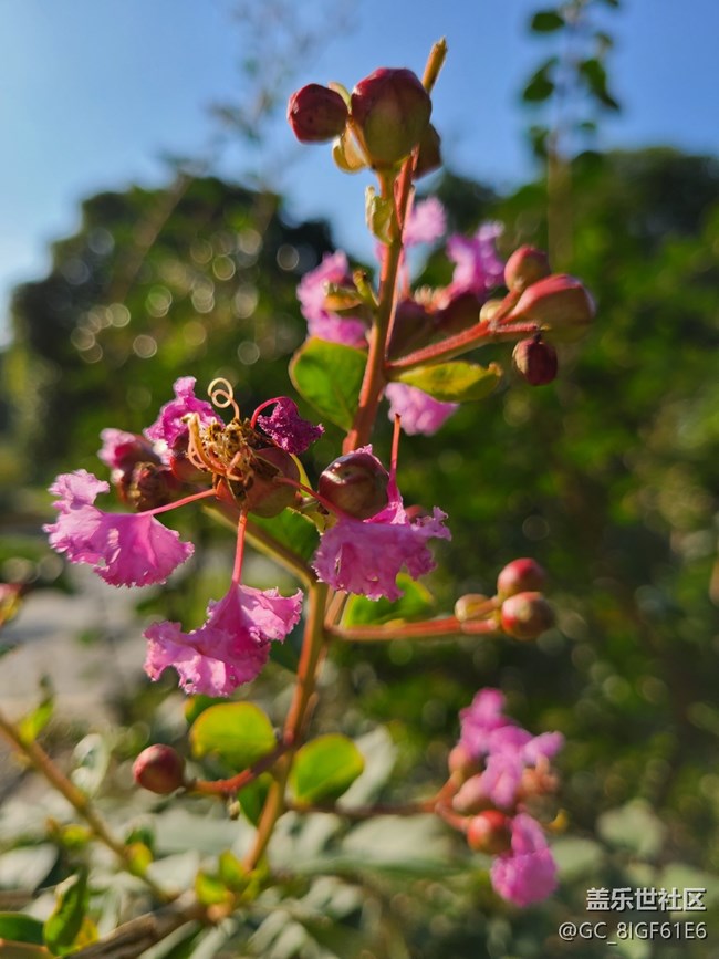 【五顏六色的秋天】彩色秋天