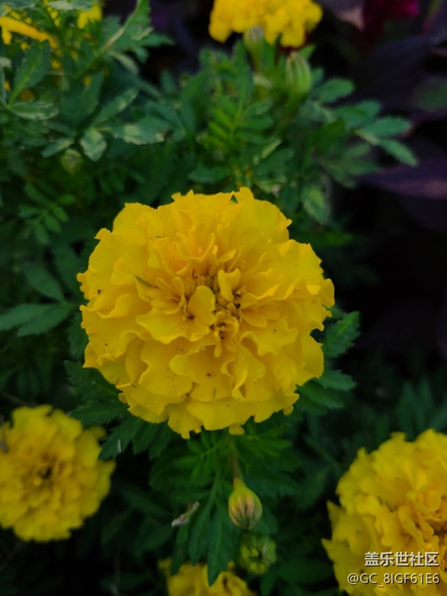 【五顏六色的秋天】彩色秋天